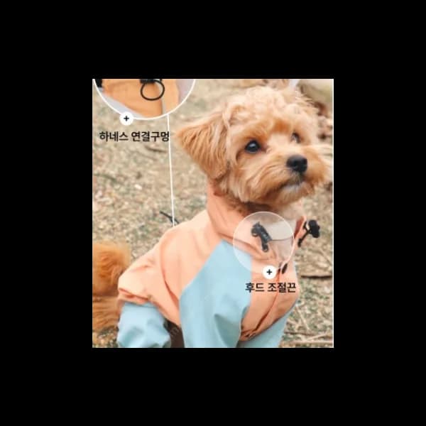 (새상품) 냥인댕 강아지 올인원 우비 XL사이즈 바람막이 가능